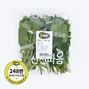 [직배송] 방풍나물(국내산)200g [야채,채소]