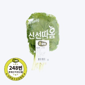 [직배송] 근대(국내산)200g [야채,채소]
