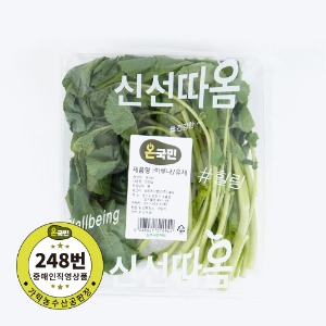 [직배송] 유채(국내산)200g [야채,채소]