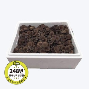 [직배송] 느타리버섯(꽃느타리,국내산)2kg 1박스 [야채,채소]