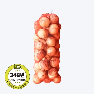[직배송] 양파(햇양파,특,국내산)15kg [야채,채소]