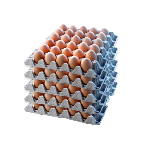 [신선배송] 계란(대란)판 30구*5판/판 단가 [계란,달걀] (농가 직거래/국내 최저가)