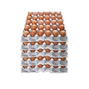 [신선배송] 계란(특란)판 30구*5판/판 단가 [계란,달걀] (농가 직거래/국내 최저가)