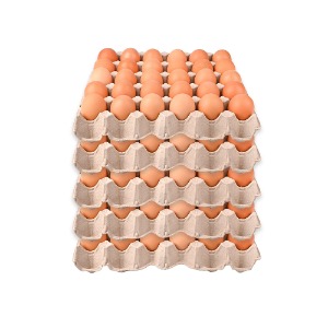 [신선배송] 계란(왕란)판 30구*5판/판 단가 [계란,달걀] (농가 직거래/국내 최저가)